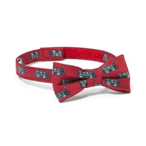 Janie and Jack Train Bowtie - NWT